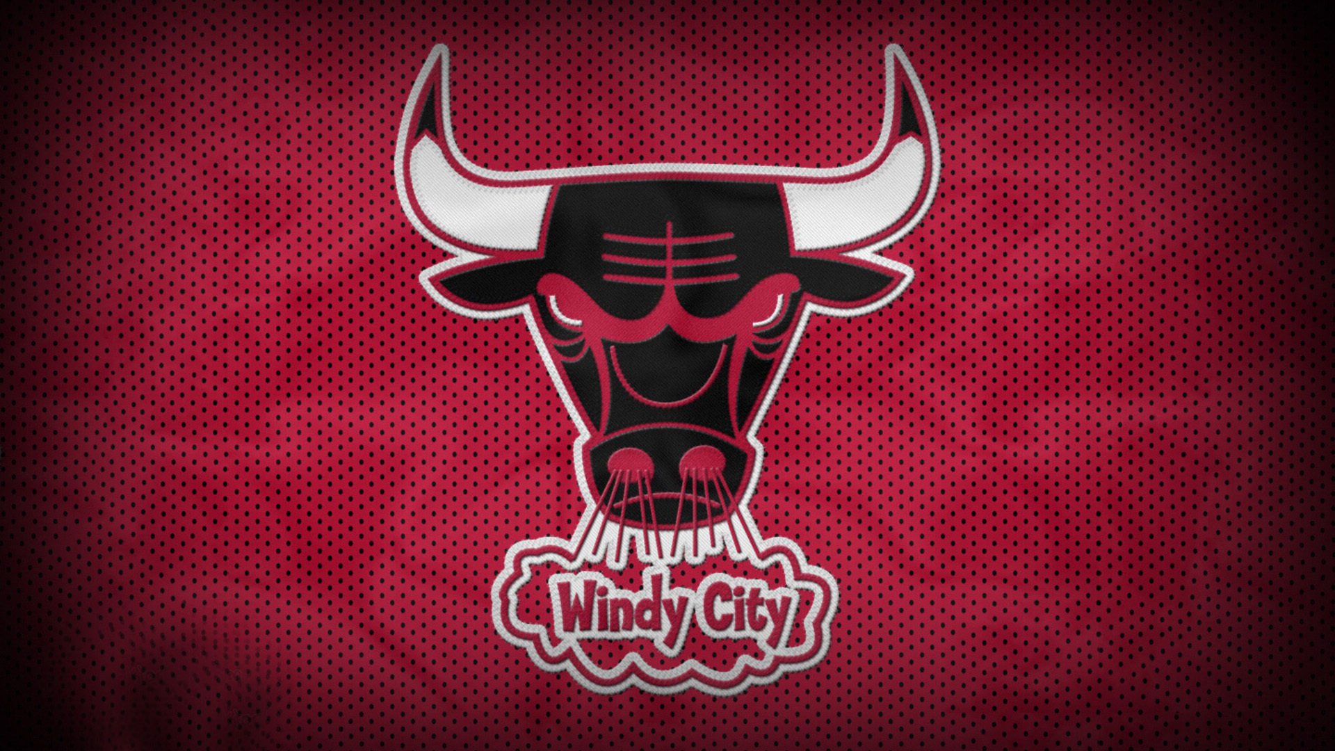 “埃尔斯·霍斯特:南非橄榄球的未来领军人物”