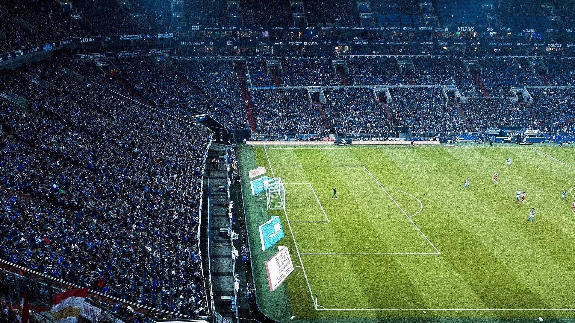 “马丁·高尔西：阿根廷美洲狮队的防守壁垒”